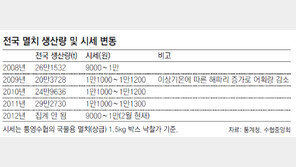 풍어때도 꿈쩍 않던 멸치값이 쏙 빠졌네
