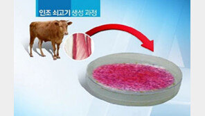 [뉴스A]실험실서 쇠고기 만들어 먹는다?