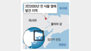 오늘 보았네… 3만2000년전 그 꽃