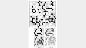 [바둑]제55회 국수전… 수순의 묘를 살린 145