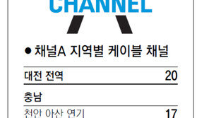 [강원][대전/충남][충북]채널A 지역별 케이블 채널