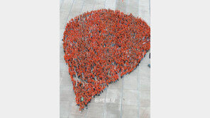 [대전/충남]“지상 최대 인간 핏방울에 도전”