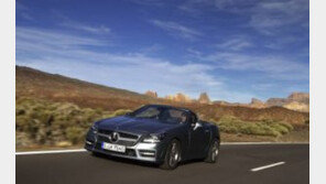 두산 “수입車 사업 철수”… 재벌가 아들들만의 리그 어떻기에