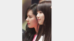 한가인 수지 옆 얼굴, “건축이 아니라 조각”