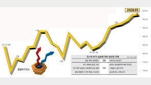 [부자됩시다]돈의 힘으로 오른 증시… 향후 전망 ‘갑론을박’