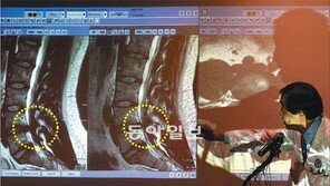 朴시장 아들, 173cm 63kg 아니라 176cm 80kg 건장 체격