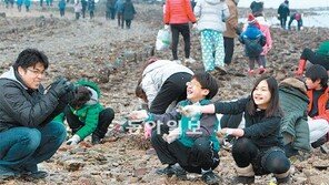 “제가 캔 조개가 더 커요”