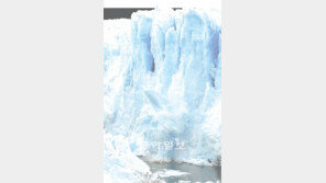 [신문과 놀자!]신음하는 지구, 어떡하지?