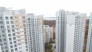 [Home&Dream/Just Married]신혼 첫 집, 입주 앞둔 대규모 아파트부터 살펴보세요