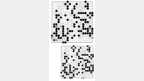 [바둑]제55회 국수전… 183, 189 끝내기 맥점
