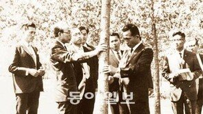 [O2/이슈]美도 놀란 ‘기적의 소나무’ 개발, 민둥산에 푸른 옷 입혀