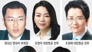 “위기때 경영능력 검증” 재계 ‘3세 경영’ 시험대에
