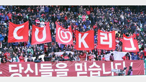 [K리그에 바란다] “심판 판정 절대 복종…항의는 짧게”