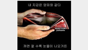 내 지갑과 양파의 공통점, “지갑 대신 양파 까면 안 돼?”