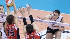 도로공사, 잘 넘기고 꽂고…이바나 굴러온 복!