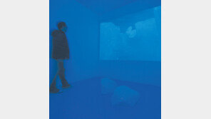 얼음 한가운데서, 사막 한복판서 삶을 어루만지다