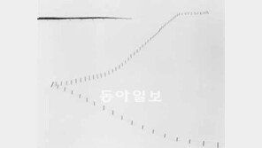 고요한 아침에 찍은 쉼표 한 점… 英 출신 케냐 사진전