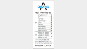 [대구/경북]채널A 지역별 케이블 채널 