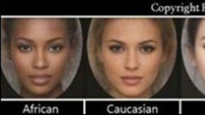 인종별 평균 미인, ‘한국 김태희-일본 보아-중국 송혜교’