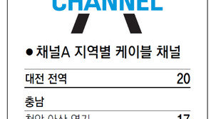 [강원][대전/충남][충북]채널A 지역별 케이블 채널