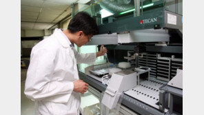 혈액 검사 한번이면  경주마 능력 한눈에