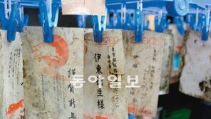 [동일본 대지진 1년/日 좌절과 희망의 현장]<1> 본보 기자 재난복구 1주일 자원봉사記