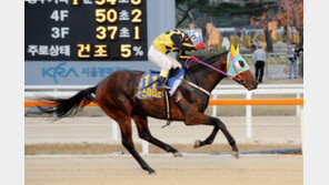 신예 스마티문학, 2연승 무난할 듯