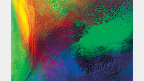 [작가 권지예의 그림읽기]내 마음의 안경