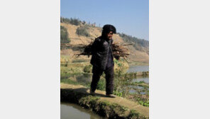 1300여 년의 역사 중국 위엔양 다락논의 하니족