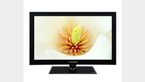 우성엔터프라이즈&홈플러스 창립 13주년 공동 기획 행사 개최