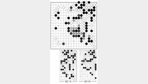 [바둑]제55회 국수전… 백, 중앙 타개에 성공하다 