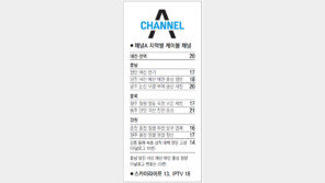 [강원][대전/충남][충북]채널A 지역별 케이블 채널