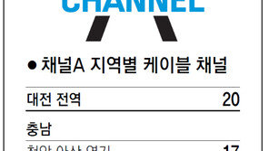[강원][대전/충남][충북]채널A 지역별 케이블 채널
