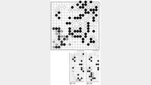 [바둑]제55회 국수전… 하변 침투 백돌의 운명은 