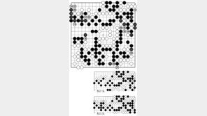 [바둑]제55회 국수전… 미세한 반 집 승부
