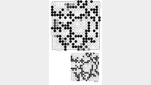 [바둑]제55회 국수전… 형세 판단 착오