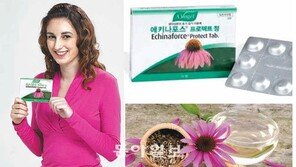 [헬스&뷰티]항바이러스·항염증·면역력 강화 천연 감기치료제 ‘에키나포스’