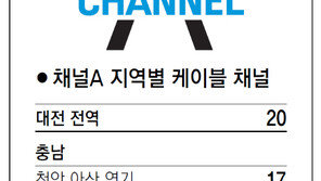 [강원][대전/충남][충북]채널A 지역별 케이블 채널