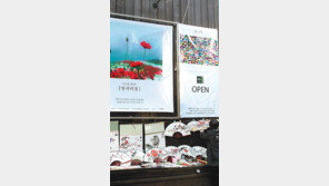 [포토 에세이]인사동은 벌써 봄 봄 봄