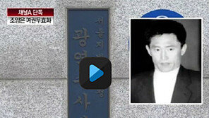 [뉴스A]단독/‘양은이파 두목’ 조양은씨 필리핀 체류…여권 무효화