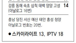 [강원][대전/충남][충북]채널A 지역별 케이블 채널