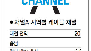 [강원][대전/충남][충북]채널A 지역별 케이블 채널