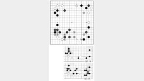 [바둑]제56기 국수전… 40은 타개의 맥점