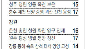[강원][대전/충남][충북]채널A 지역별 케이블채널