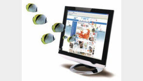 [수협 50년]제주 은갈치, 현지 직송으로 안방까지 싱싱하게