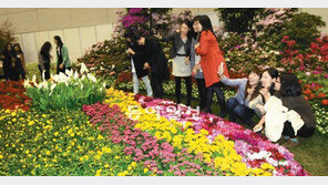 [광주/전남]광주에 봄이 활짝… 봄꽃박람회 8일까지