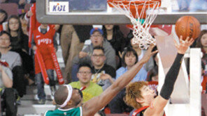 오세근-양희종 부상투혼… 인삼公 ‘멍군’