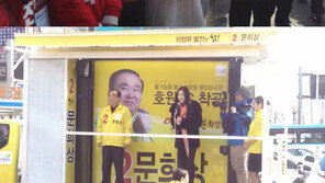 이영애-이하늬, 선거 지원 유세 中 ‘빛나는 미모’