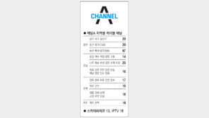 [광주/전남][전북][제주]채널A 지역별 케이블 채널
