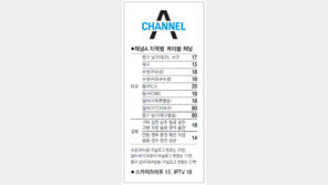[대구/경북]채널A 지역별 케이블 채널